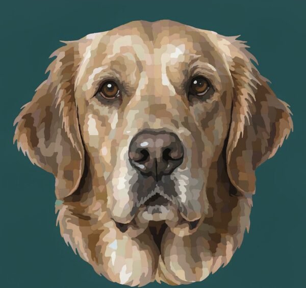 Custom kit 36 colors sample Paint by numbers result with 36 colors, medium detail