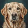 Custom kit 48 colors sample Paint by numbers result with 48 colors, fine detail